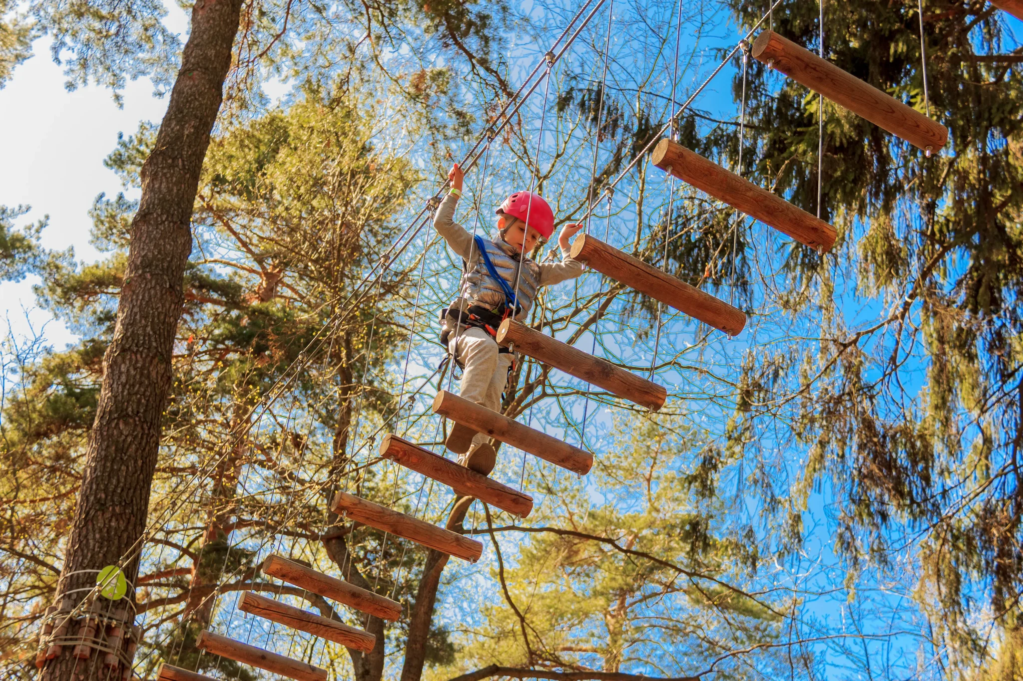 Bambino con casco rosso su percorso avventura sospeso tra gli alberi.