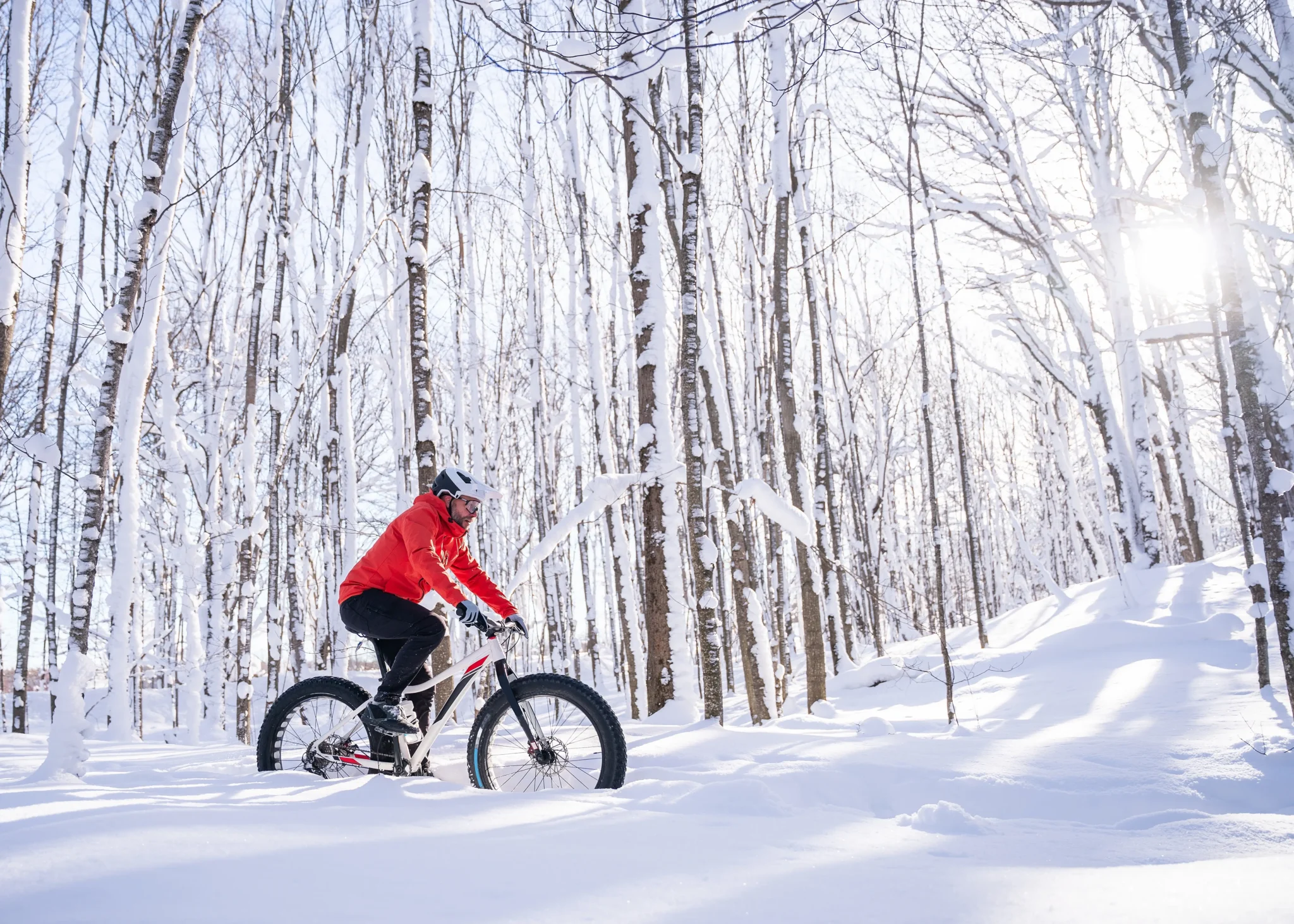 Ciclista su fat bike in una foresta innevata.